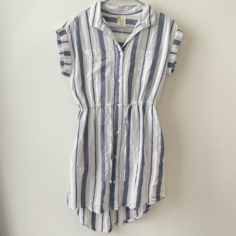Japna Blue and White Striped Dress
